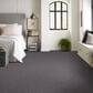 Shaw Inlet Shore I Carpet in Rod Iron, , large