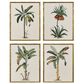 Paragon 19" x 25" Contemporary Palm I Wall Art in Green (Set of 4), , large