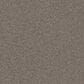 Shaw Affirmation I Carpet in Creek Bend, , large