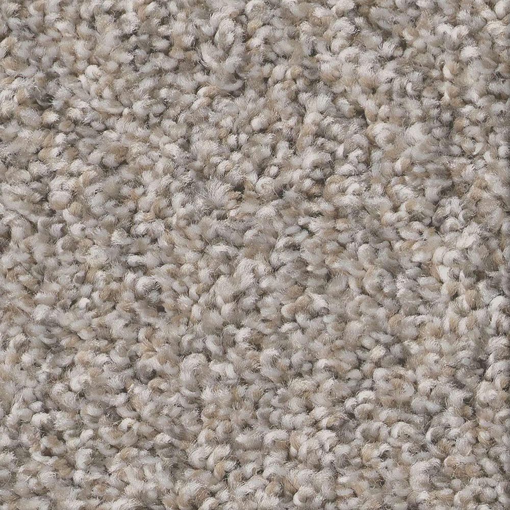 Shaw Always Right II Carpet in Sea Salt, , large