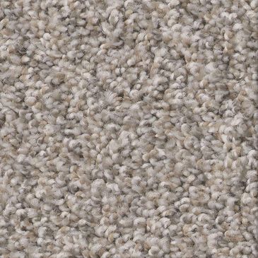 Shaw Always Right II Carpet in Sea Salt, , large
