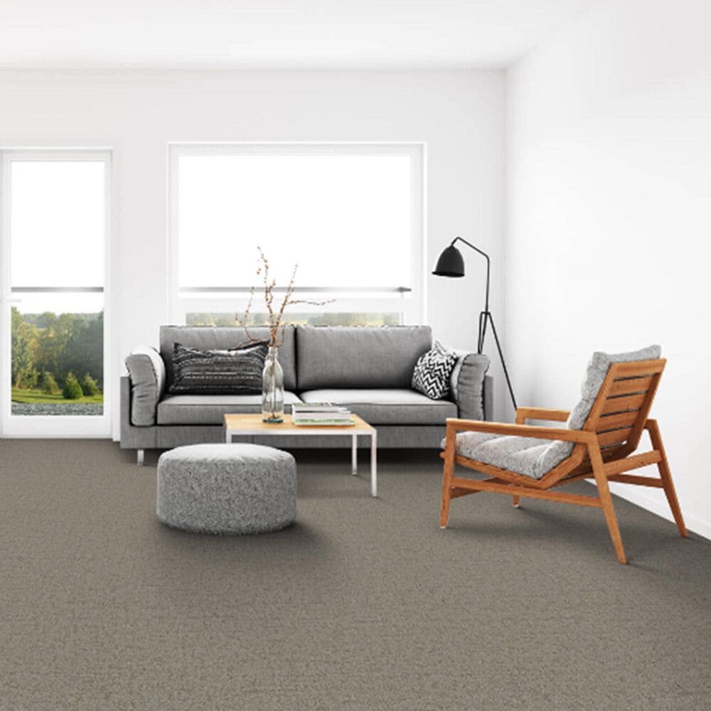 Dixie Home Genuine Carpet in Undeniable, , large