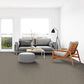 Dixie Home Genuine Carpet in Undeniable, , large