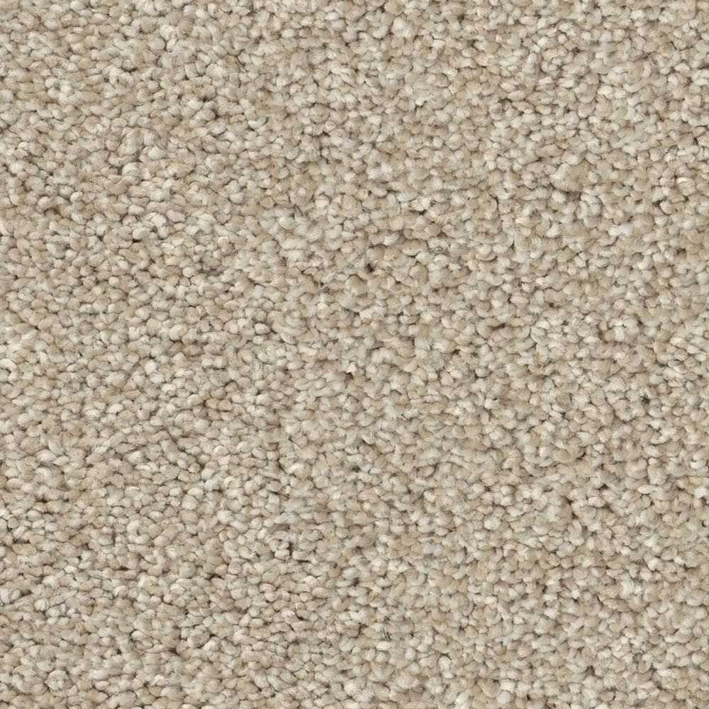 Shaw New Memories T Carpet in Cafe Latte, , large