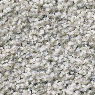Philadelphia Poised Carpet in Great Greige, , large