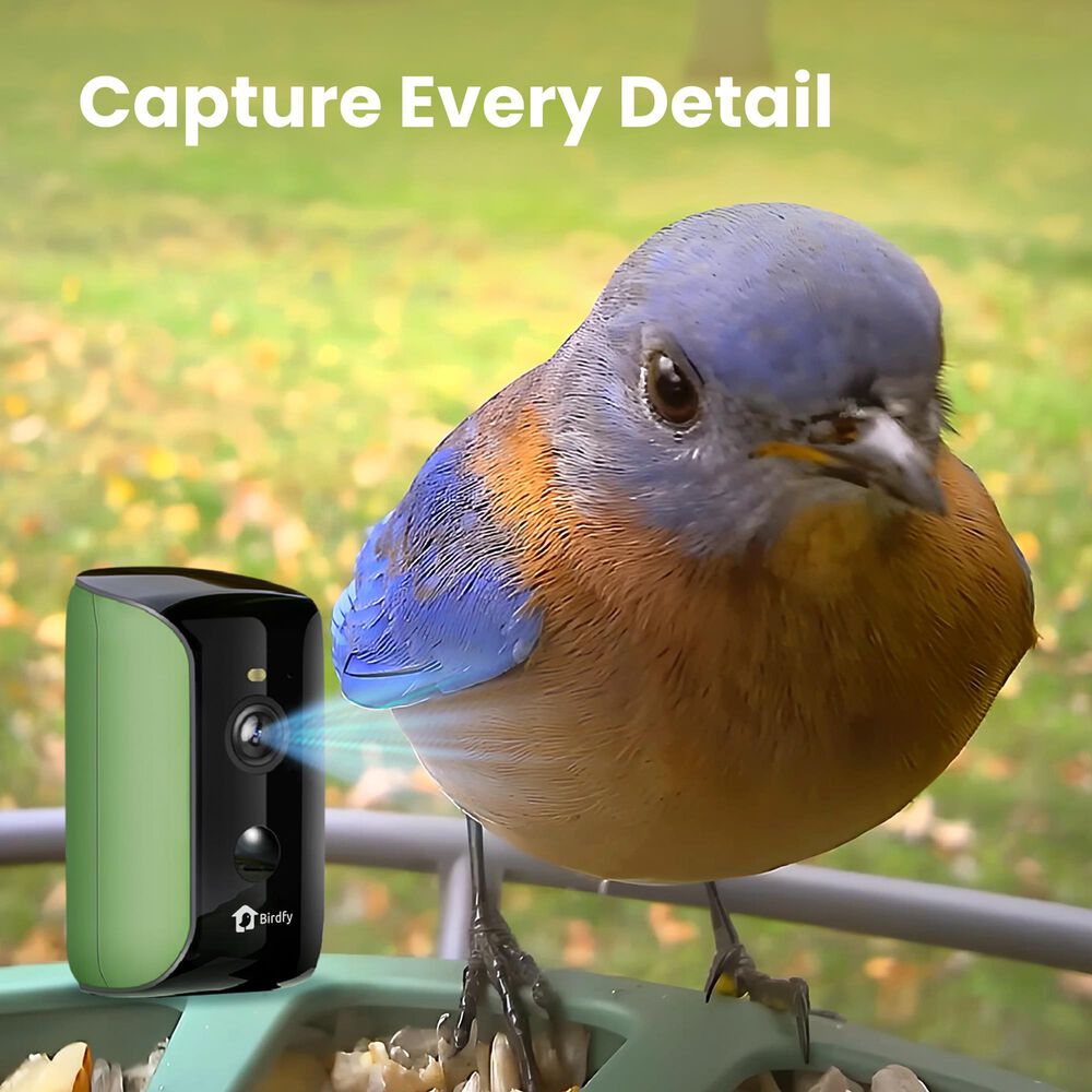 Birdfy Bird Feeder 2 with Smart Camera and Solar Panel in Green, , large