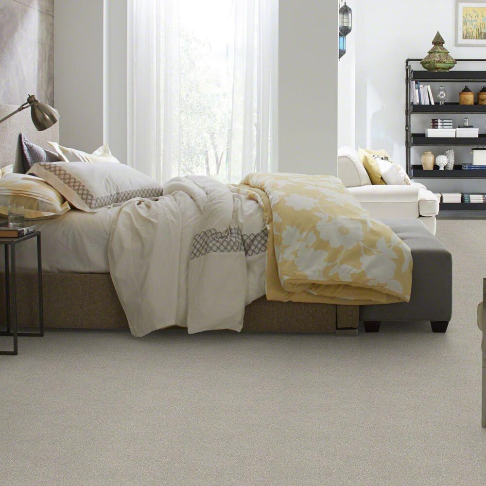 Philadelphia Basic Rules Carpet in Platinum, , large