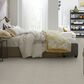Philadelphia Basic Rules Carpet in Platinum, , large