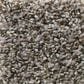 Shaw Break Away Berber Carpet in Boulder, , large