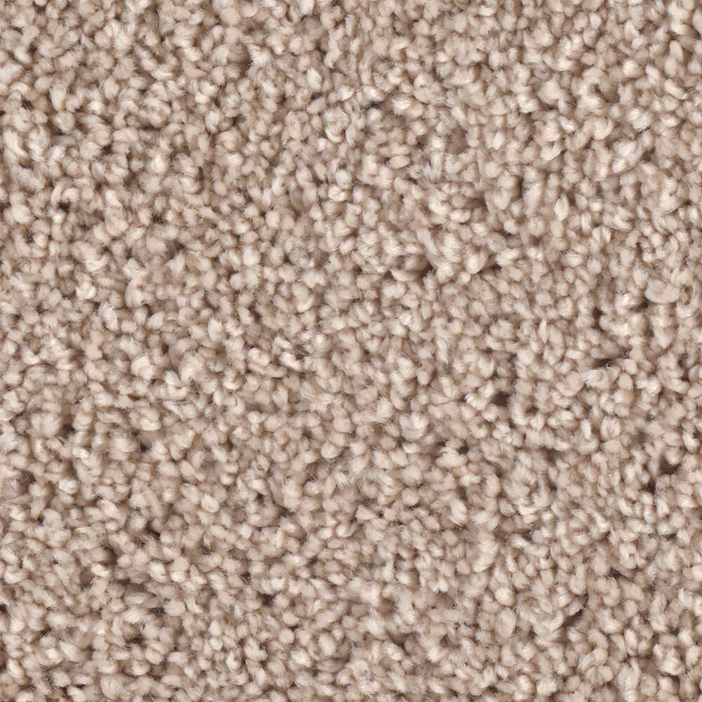 Phenix Grand Champion Carpet in Chart-Buster, , large