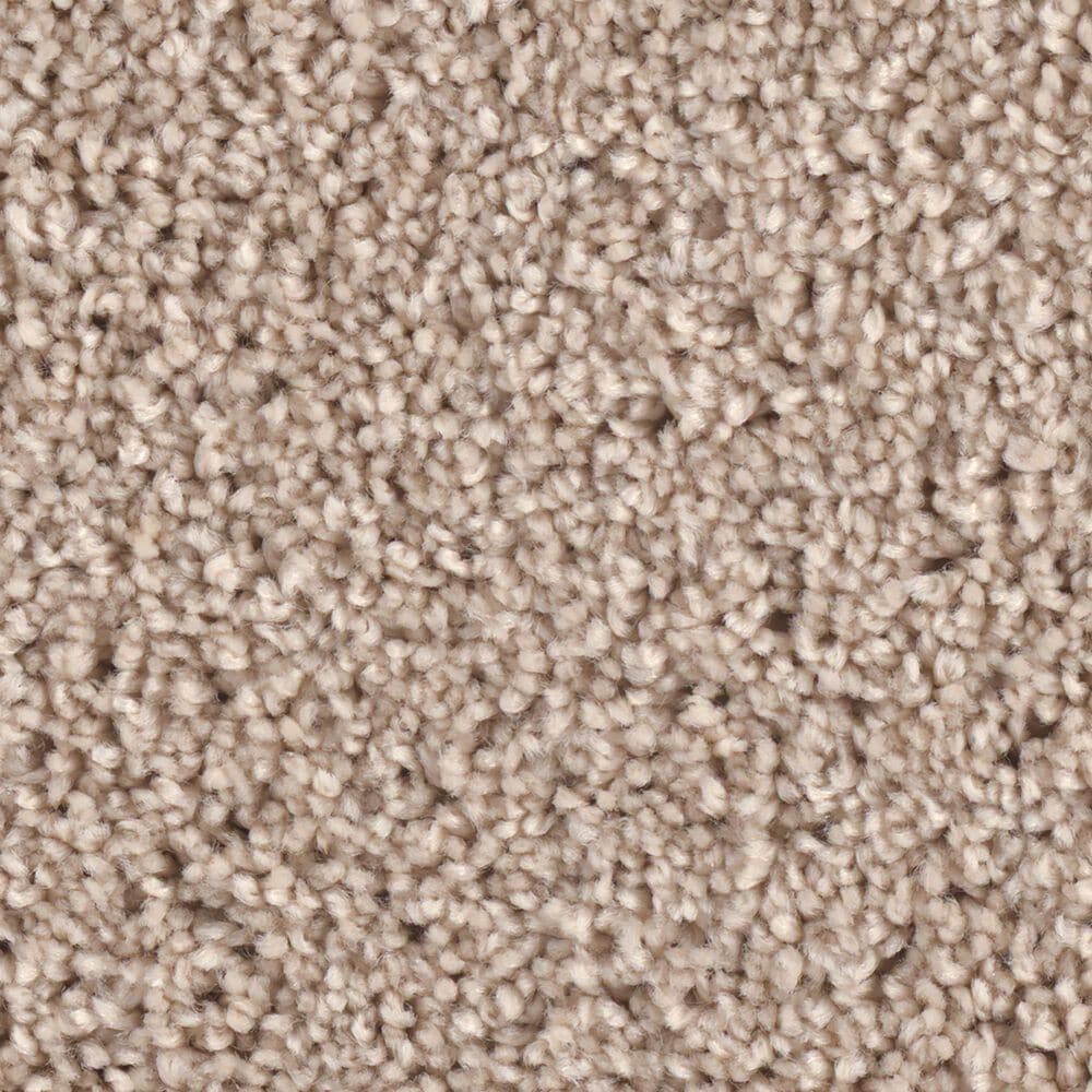 Phenix Grand Champion Carpet in Chart-Buster, , large