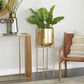 Maple and Jade 36" Dome Planter with Removable Stand in Satin Gold, , large