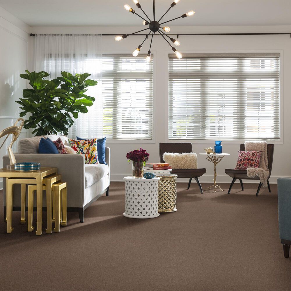 Shaw Simply the Best Montage II Carpet in Hidden Treasure, , large