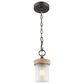 Golden Lighting Chatham 1-Light Mini Pendant in Gunmetal Bronze, , large
