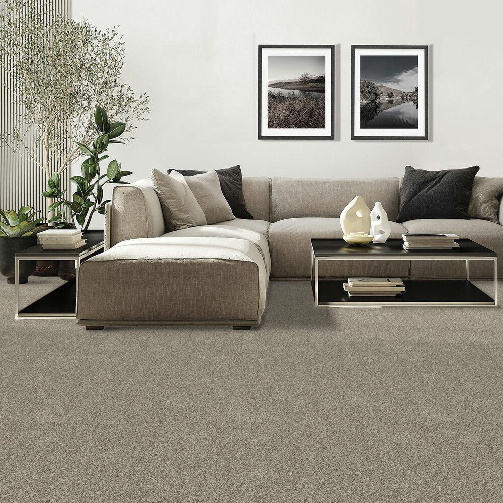 Mohawk Diffurent Choice II Carpet in North Winds, , large