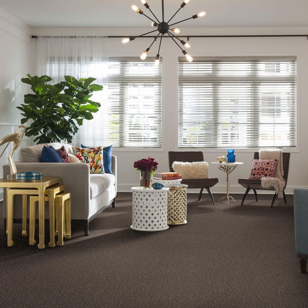 Philadelphia Mixed Essentials Carpet in Burro Brown, , large