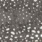 Fabrica Habitat Carpet in Steenbok, , large