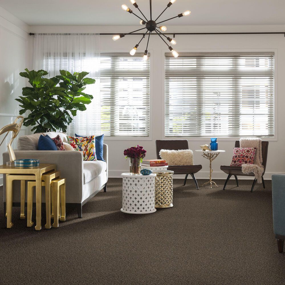 Shaw Break Away Berber Carpet in Pier Walk, , large