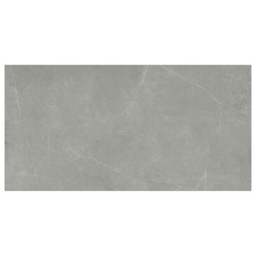 Emser Sterlina Gray 24"" x 47"" Porcelain Tile, , large