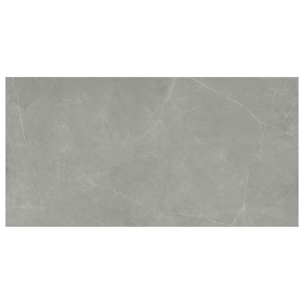 Emser Sterlina Gray 24"" x 47"" Porcelain Tile, , large