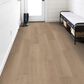 Shaw Fresh Take Bentwood Tan 9" x 59" Luxury Vinyl Plank, , large