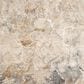 Karastan Echo Tesoro 7"10" x 10"3" Cream Area Rug, , large