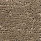 Anderson Tuftex Contour Carpet in Rockport, , large