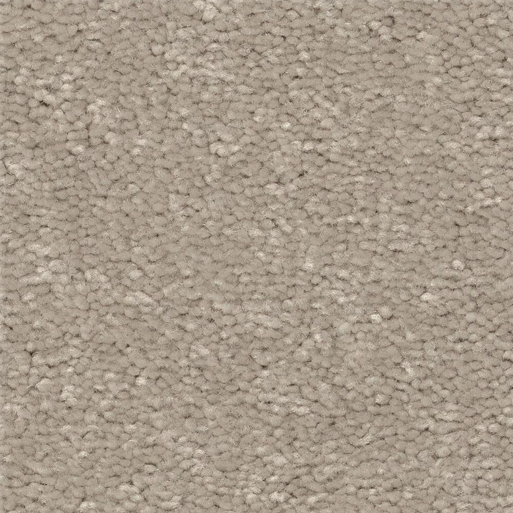 Shaw Easy Spirit I 12" Carpet in Greige, , large