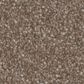Phenix Oasis Silver Carpet in Prickly Pear, , large