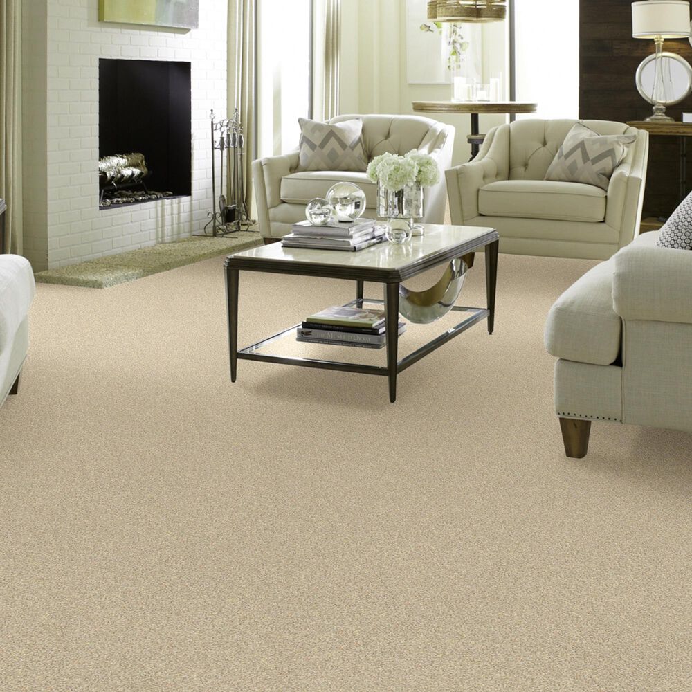 Shaw Foundations Take The Floor Twist I Carpet in Restoration, , large
