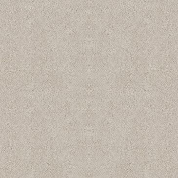 Dixie Home Winding Creek Carpet in Natural Grain, , large