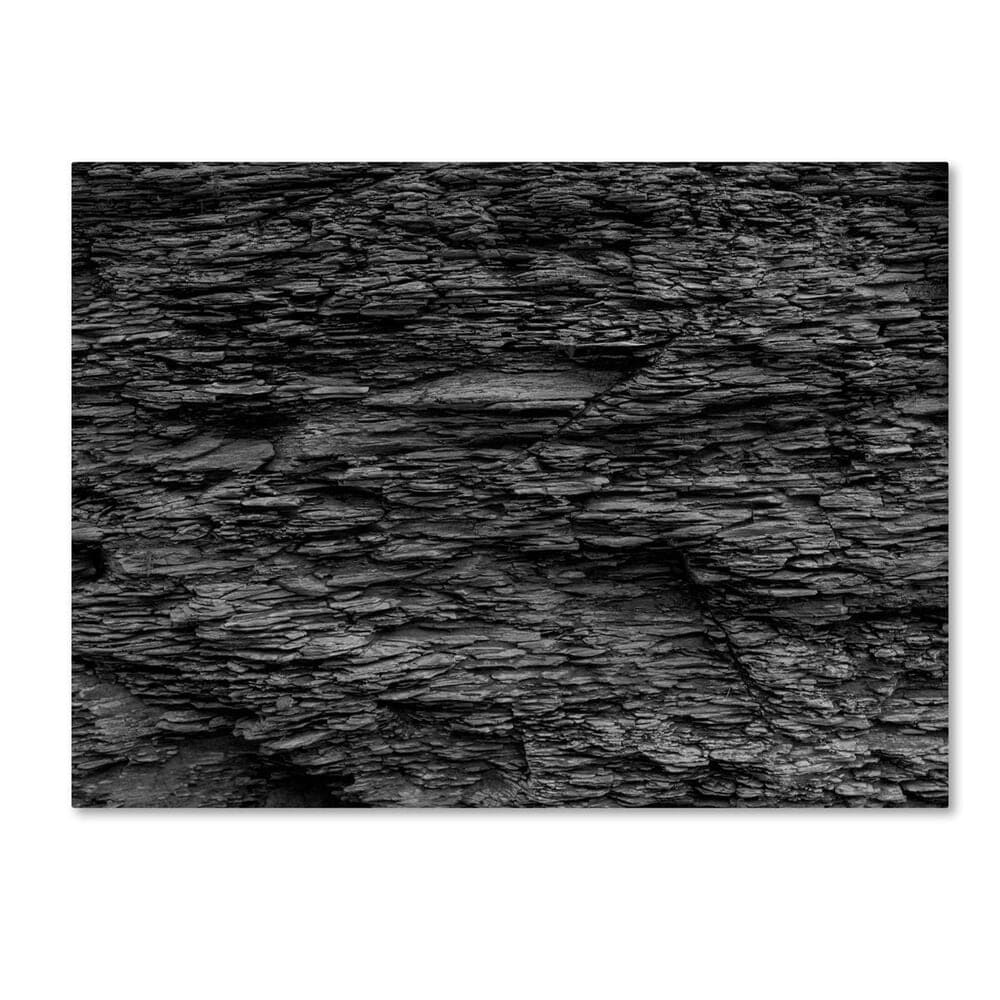 Timberlake 35" x 47" Shale Abstract in Black and White Canvas Art, , large