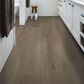 Shaw Dwell Truffle 9" x 60" Luxury Vinyl Plank, , large