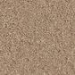 Anderson Tuftex Enduring Charm Carpet in Warm Sand, , large