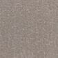 Karastan Eminent Elements Carpet in Cheyne, , large