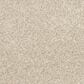 Mohawk Refined Retrievers II Carpet in London Fog, , large