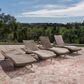 Noble House Salem Patio Chaise Lounge in Mixed Mocha (Set of 2), , large