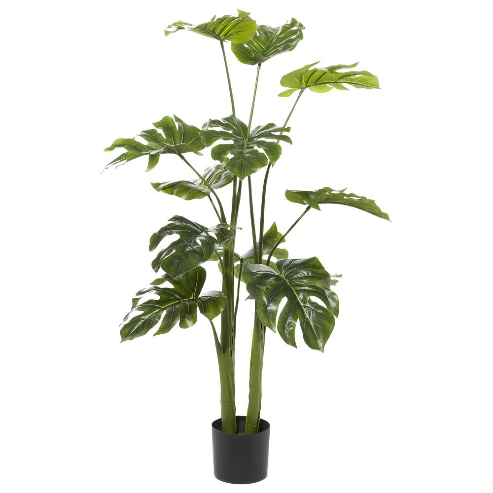 Maple and Jade 48" Indoor/Outdoor Artificial Monstera with Black Plastic Pot in Green, , large