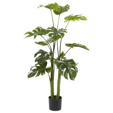 Maple and Jade 48" Indoor/Outdoor Artificial Monstera with Black Plastic Pot in Green, , large