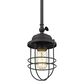 Golden Lighting Seaport Hanging Mini Pendant in Matte Black, , large