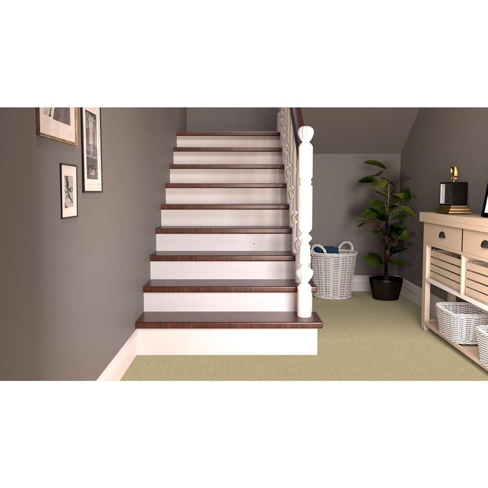 Dixie Home Simplicity Carpet in Driftwood, , large