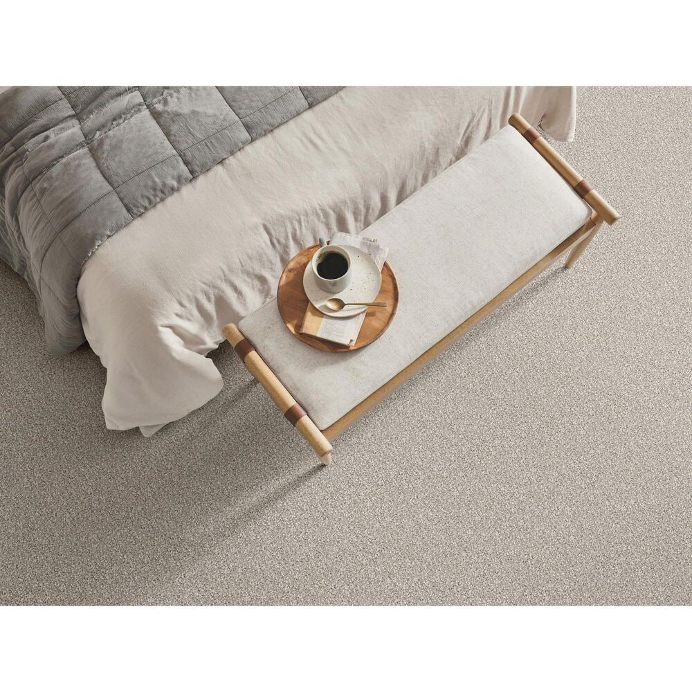 Shaw Comforting II Carpet in Anonymous, , large