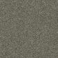 Dream Weaver Brazen II Carpet in Millstone, , large