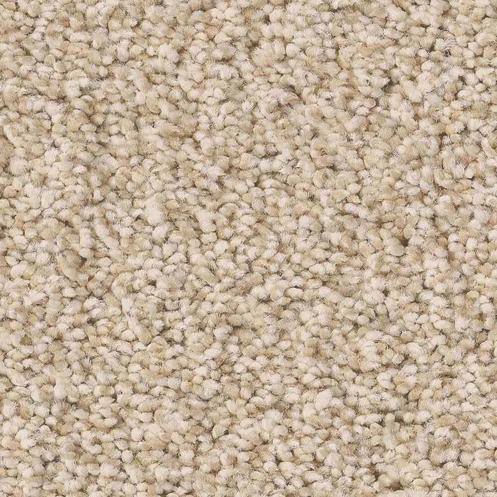 Anderson Tuftex Wyndham Estate Carpet in Risotto, , large