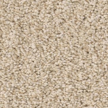 Anderson Tuftex Wyndham Estate Carpet in Risotto, , large