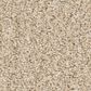 Anderson Tuftex Wyndham Estate Carpet in Risotto, , large