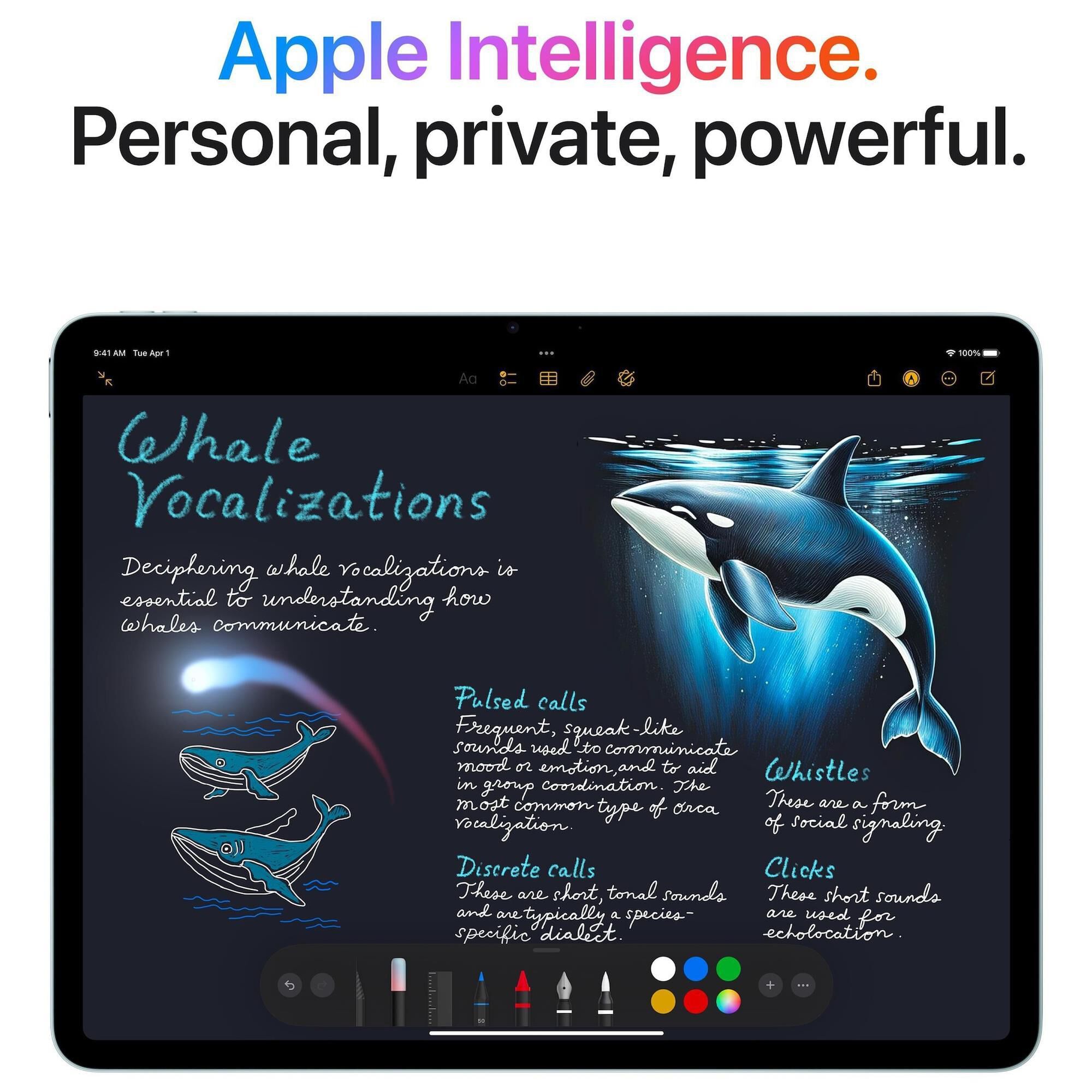 Apple 13-Inch iPad Air M3 Chip Wi-Fi + Cellular 1TB in Blue