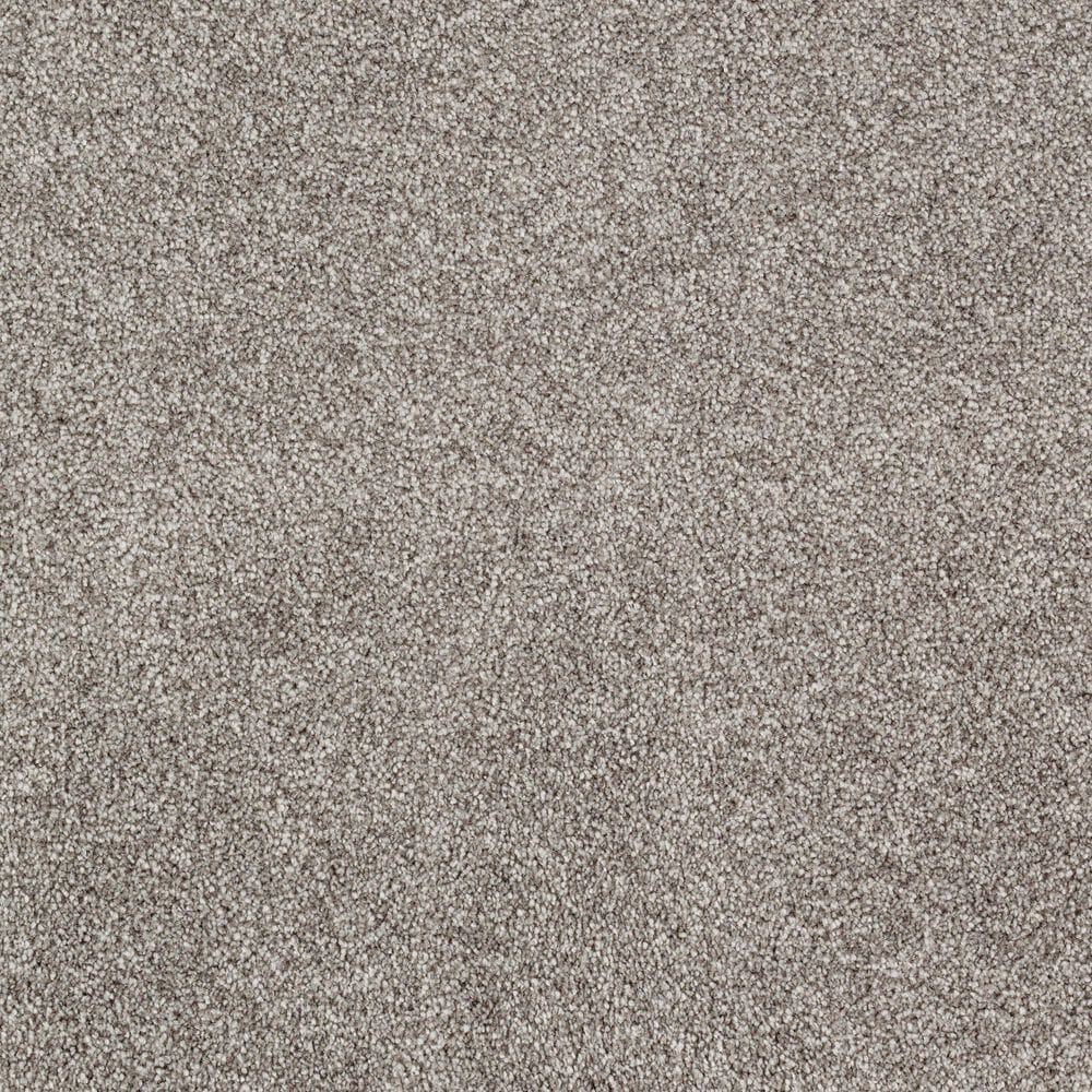 Mohawk Impressive Notion Carpet in Espresso, , large
