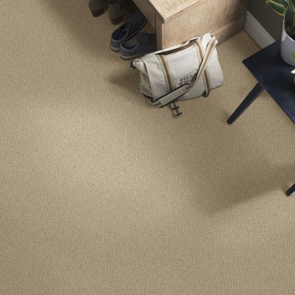 Shaw Detailed Statement Loop Carpet in Taffeta, , large