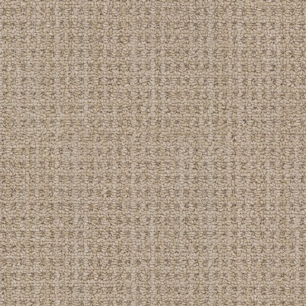 Masland Take It Easy Carpet in Castle, , large